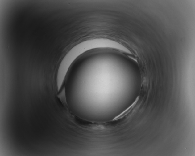 X0000087610572200705181257