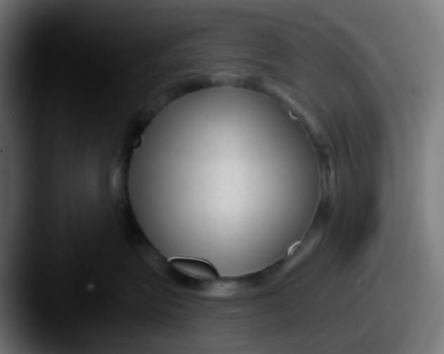 X0000087610575200705181257