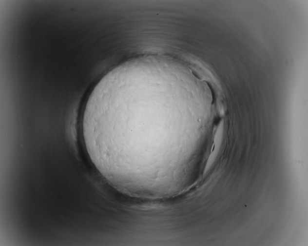 X0000087610578200705181257