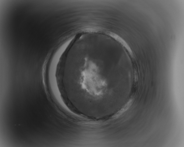 X0000087610581200705181257