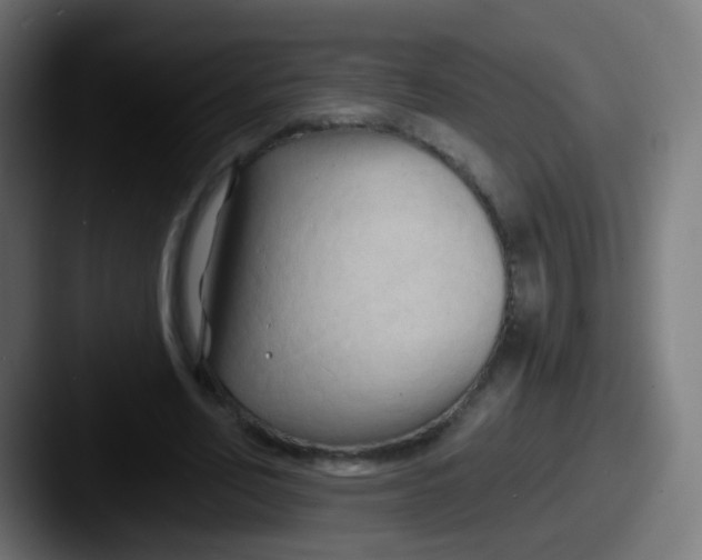 X0000087610582200705181257