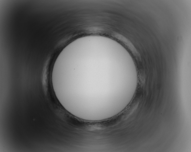 X0000087610583200705181257