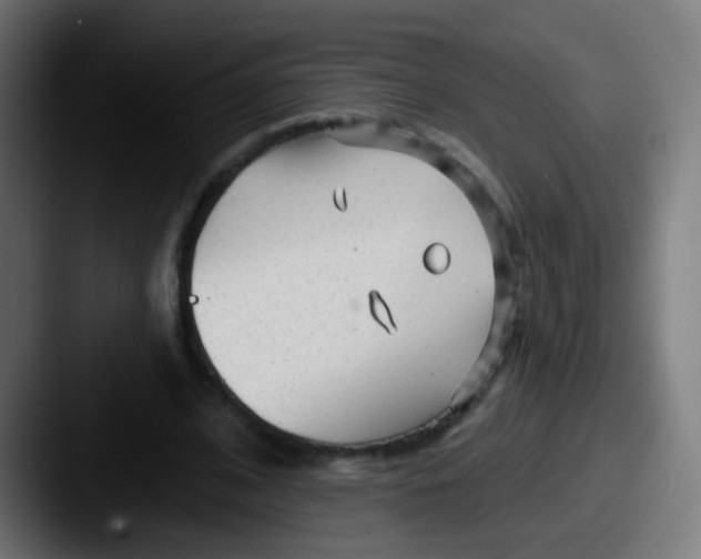 X0000087610584200705181256