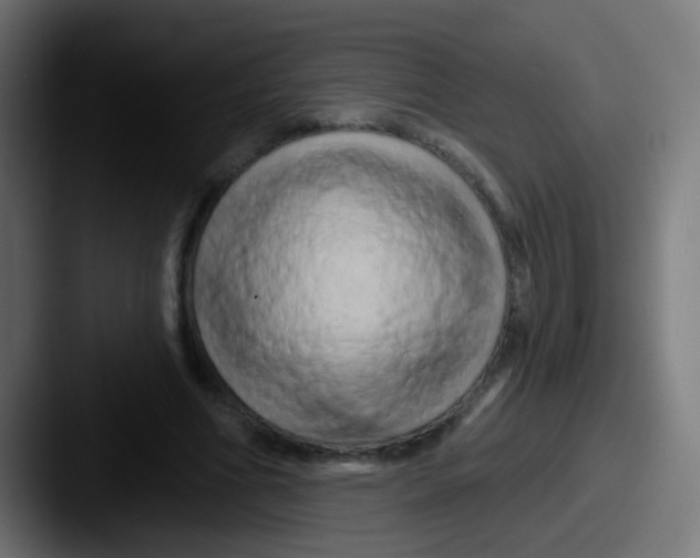 X0000087610586200705181256