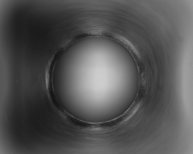 X0000087610589200705181256