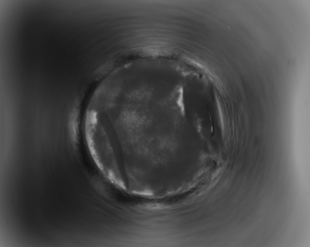 X0000087610590200705181256