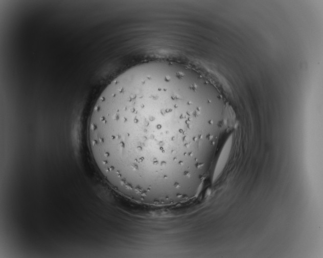 X0000087610591200705181256