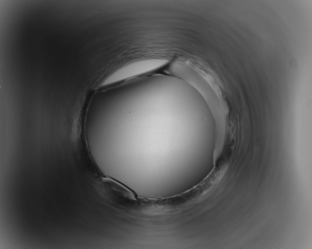 X0000087610593200705181256