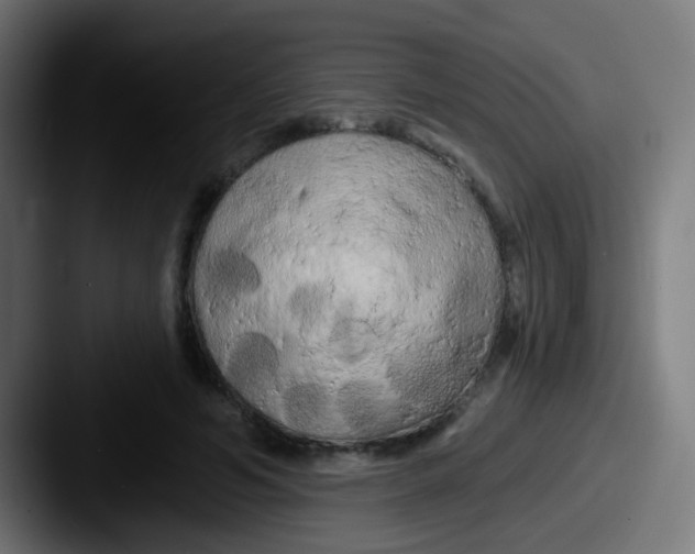 X0000087610594200705181256