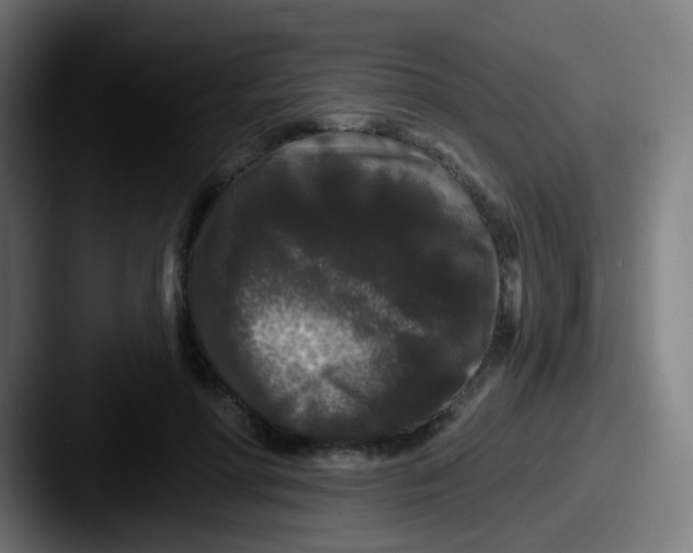 X0000087610598200705181256