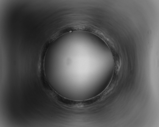 X0000087610600200705181256