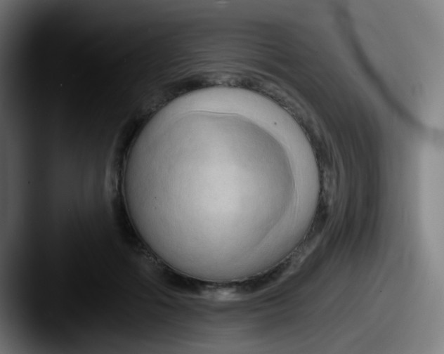 X0000087610602200705181256