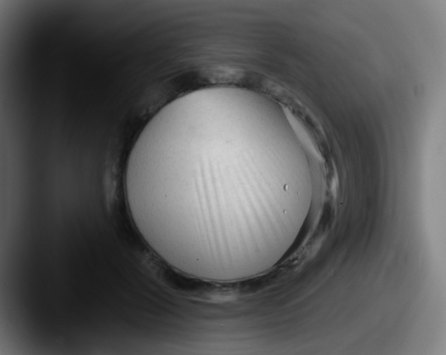 X0000087610604200705181256