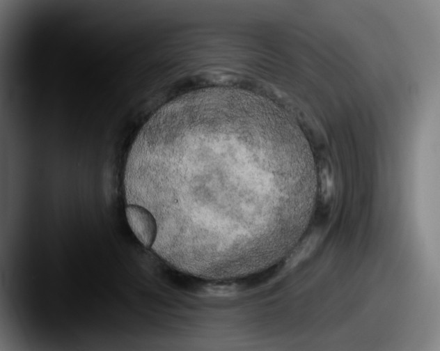 X0000087610606200705181256