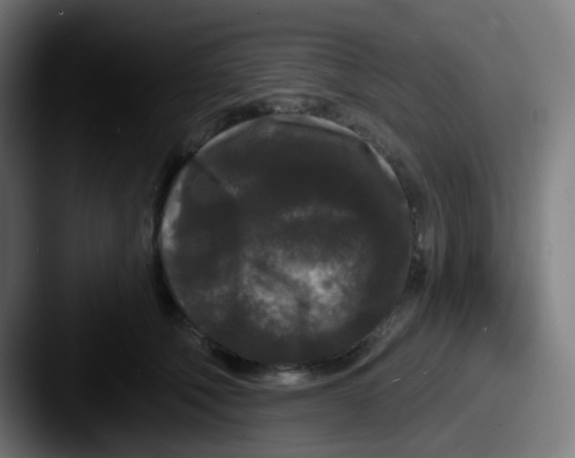 X0000087610610200705181256