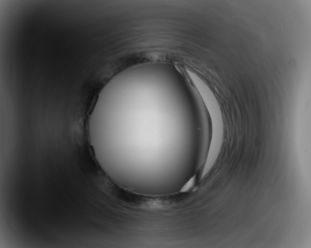 X0000087610611200705181256