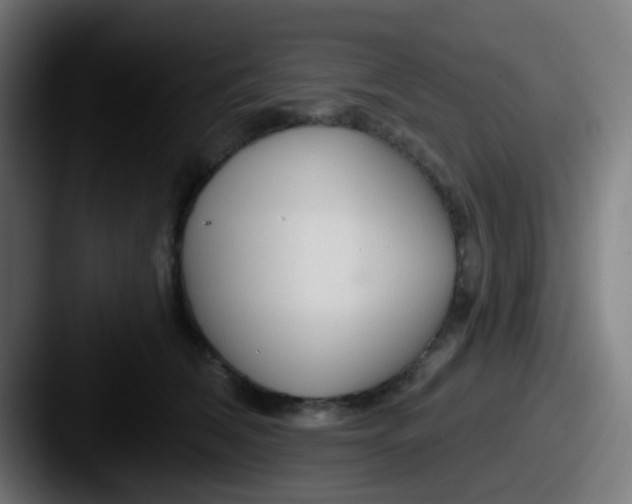 X0000087610612200705181256