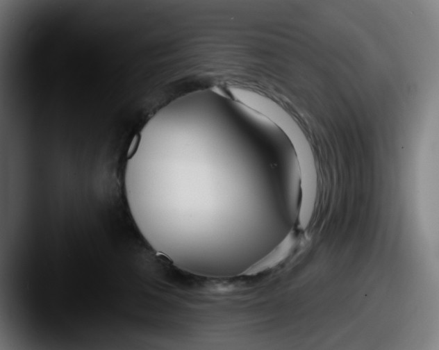 X0000087610613200705181256