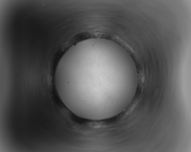 X0000087610615200705181256