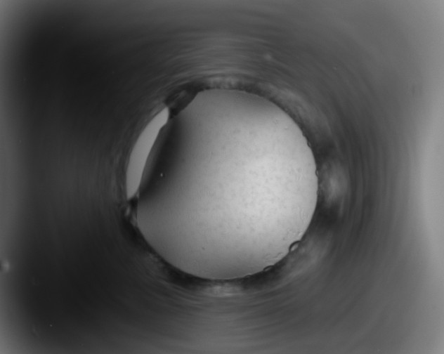 X0000087610619200705181256