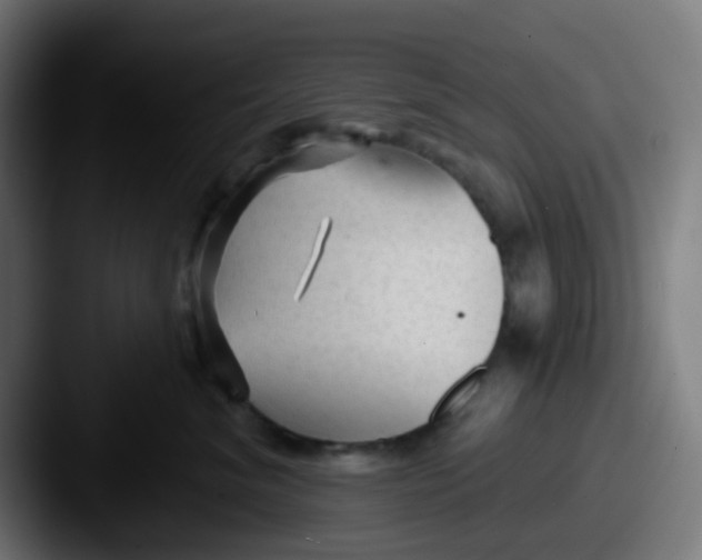 X0000087610620200705181256