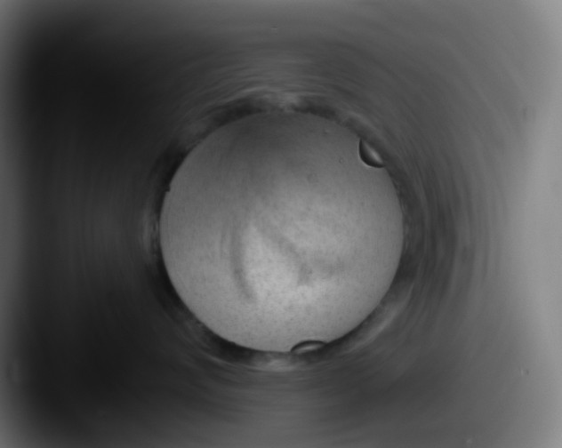 X0000087610624200705181256