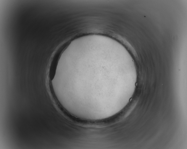 X0000087610625200705181255