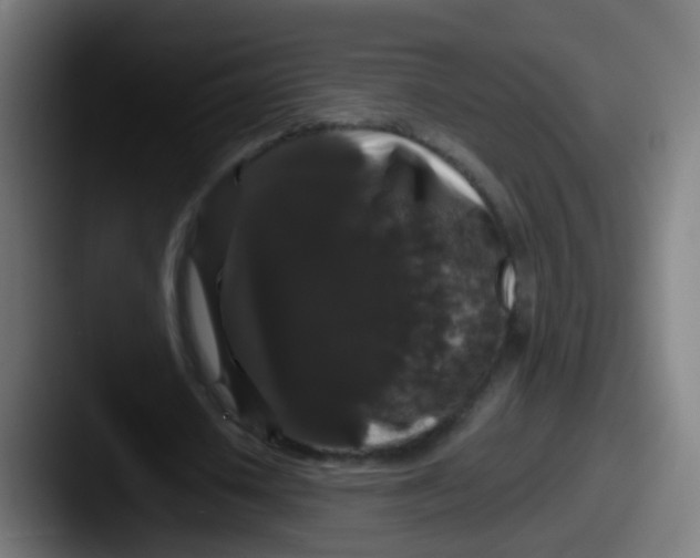 X0000087610626200705181255