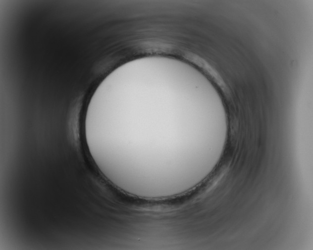 X0000087610629200705181256