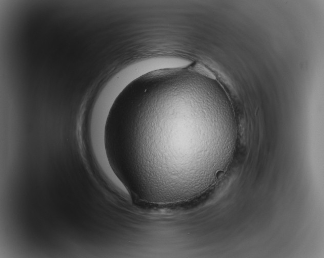 X0000087610634200705181256