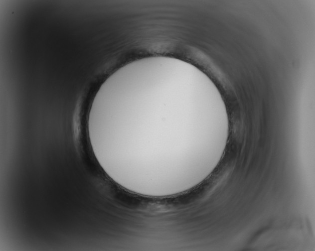 X0000087610635200705181256