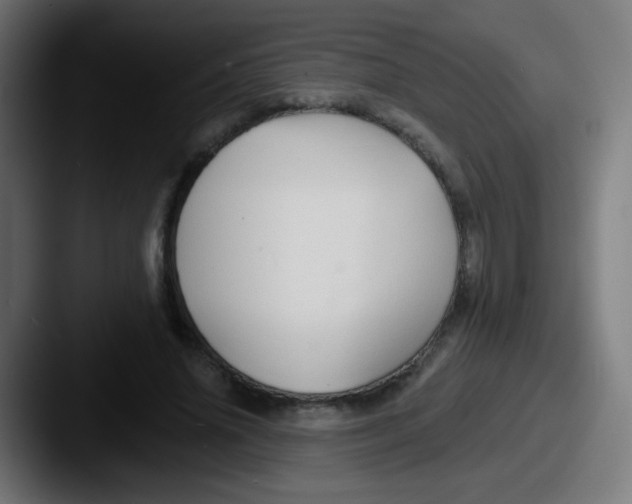 X0000087610636200705181256