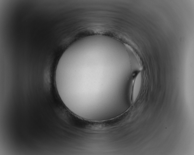 X0000087610639200705181256