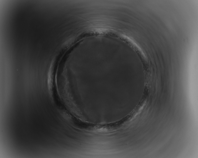 X0000087610640200705181256