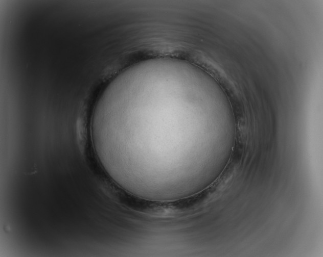 X0000087610642200705181256