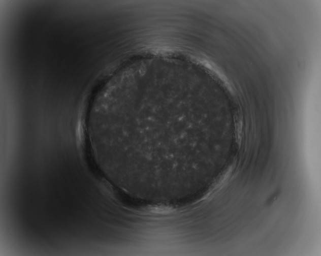 X0000087610644200705181256