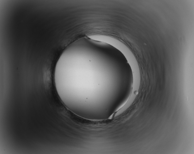 X0000087610646200705181256