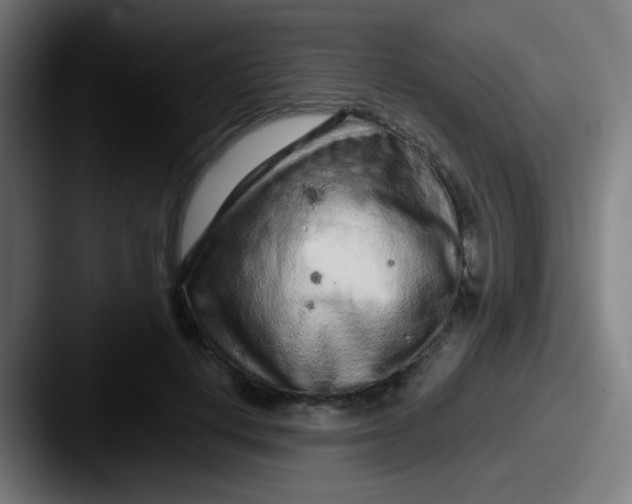 X0000087610648200705181256