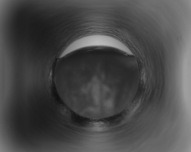 X0000087610650200705181256