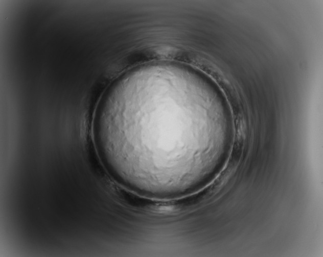 X0000087610651200705181256