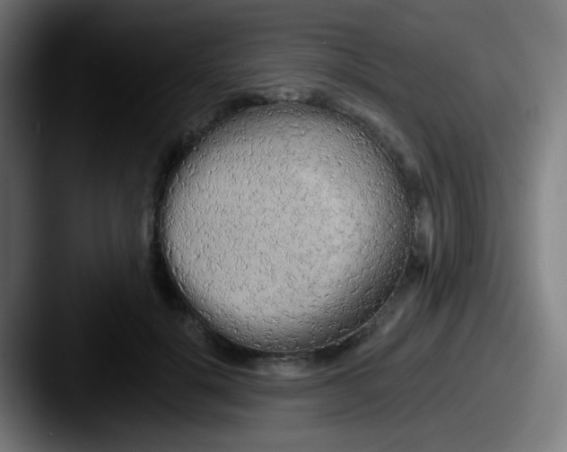 X0000087610652200705181256