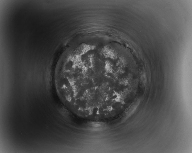 X0000087610654200705181256