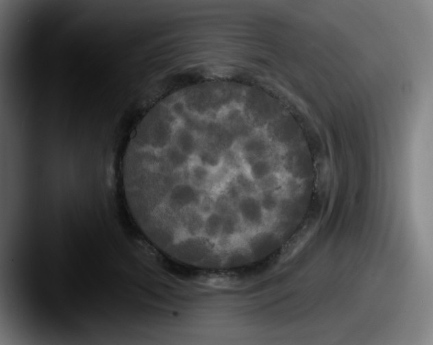 X0000087610655200705181256