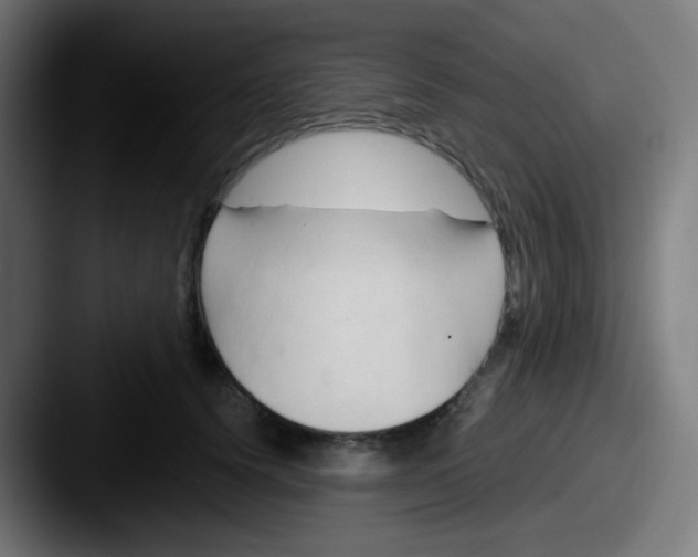 X0000087610656200705181256