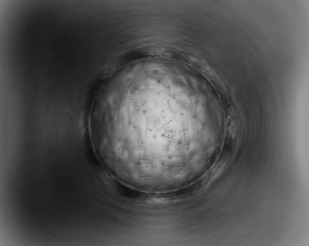 X0000087610658200705181256