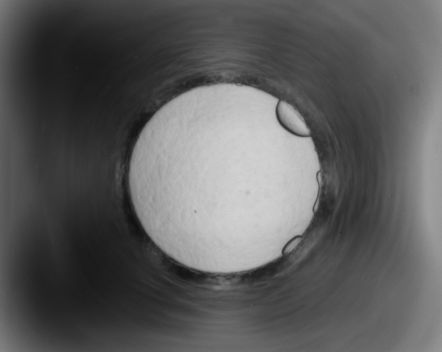 X0000087610660200705181256