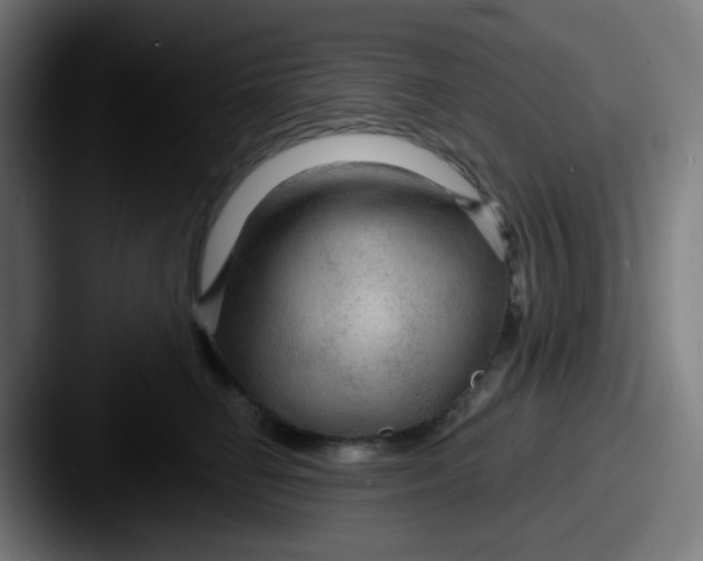 X0000087610662200705181256