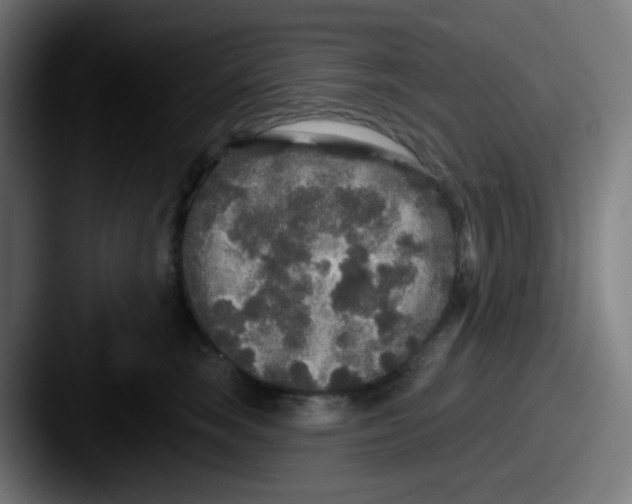 X0000087610663200705181256