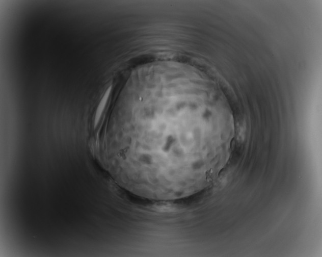 X0000087610666200705181256