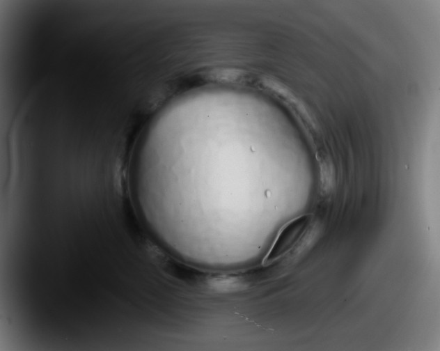 X0000087610669200705181256